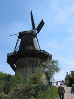 IMG_1442 